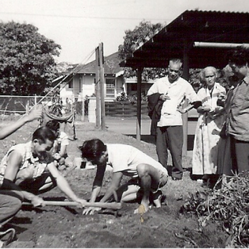 Bodaiji Mission -Imo hori (potato digging)